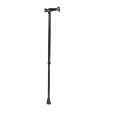 Powder Coated Walking Stick FS939L